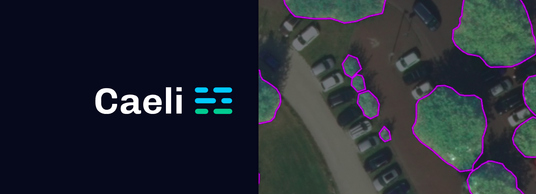 Caeli Tree Detection Model