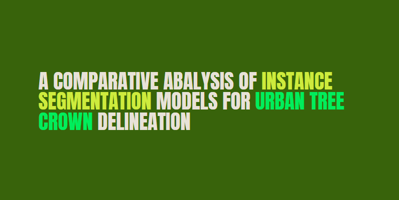 University Thesis